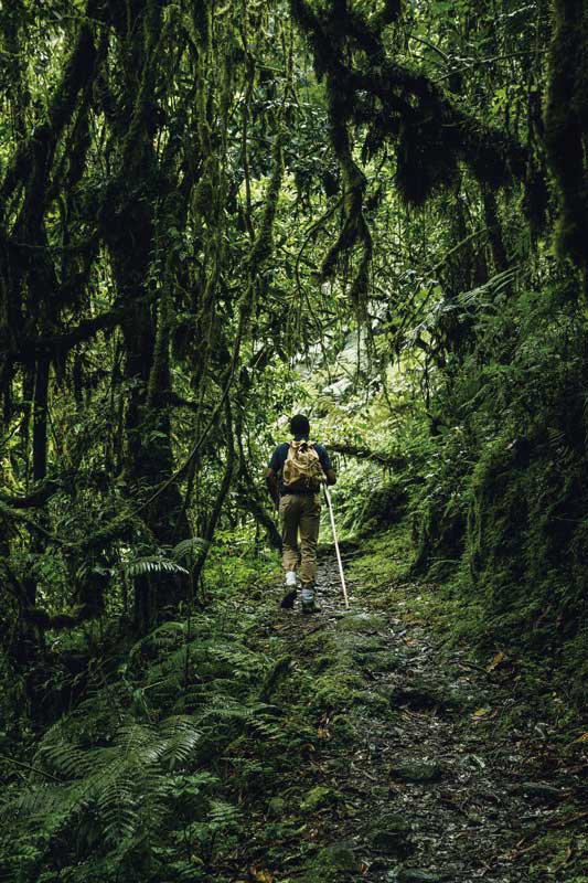 Amura, AmuraWorld,Rwanda,Ruanda,Compás Internacional,International Compass , Ruanda es ideal para realizar largas caminatas.