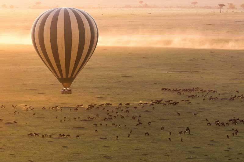 Amura,AmuraWorld,AmuraYachts, A bordo de un globo aerostático disfruta del Parque Nacional del Serengeti.