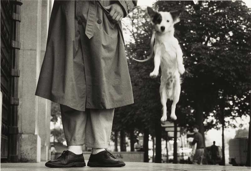 Amura,AmuraWorld,AmuraYachts, Elliott Erwitt, <em>'Paris, France'</em> (<em>Dog Jumping</em>), 1989.