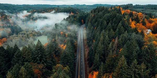 Conoce el otoño estadounidense en tren