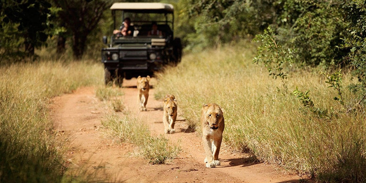 Viajes de impacto positivo en África