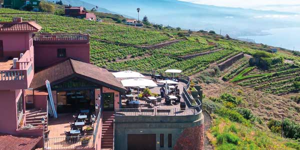 Rutas del vino en Tenerife