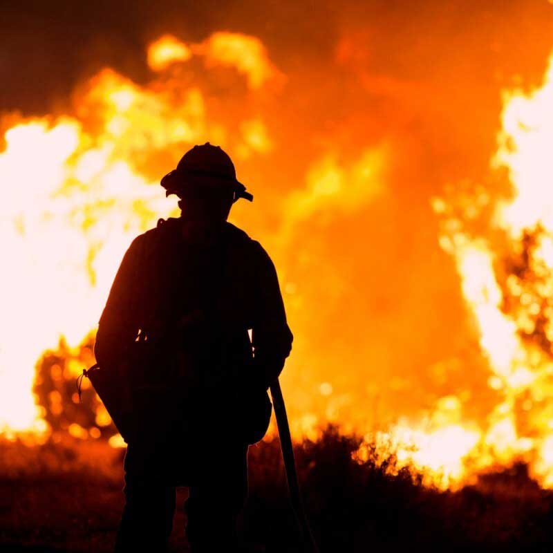 Amura,AmuraWorld,AmuraYachts, Los elementos del Departamento de Bomberos de Los Ángeles ha sido elogiado por los habitantes de la ciudad californiana.