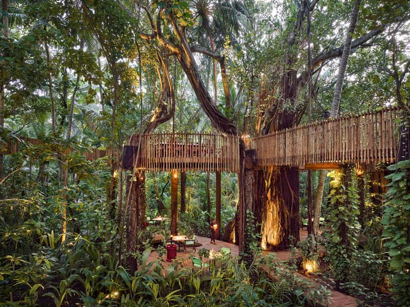 Amura,AmuraWorld,AmuraYachts, El restaurante <em>Nest </em>de Niyama Private Islands Maldives, construido en la copa de los árboles.