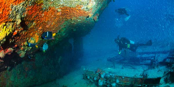 La Paz: paraíso submarino en el golfo de California