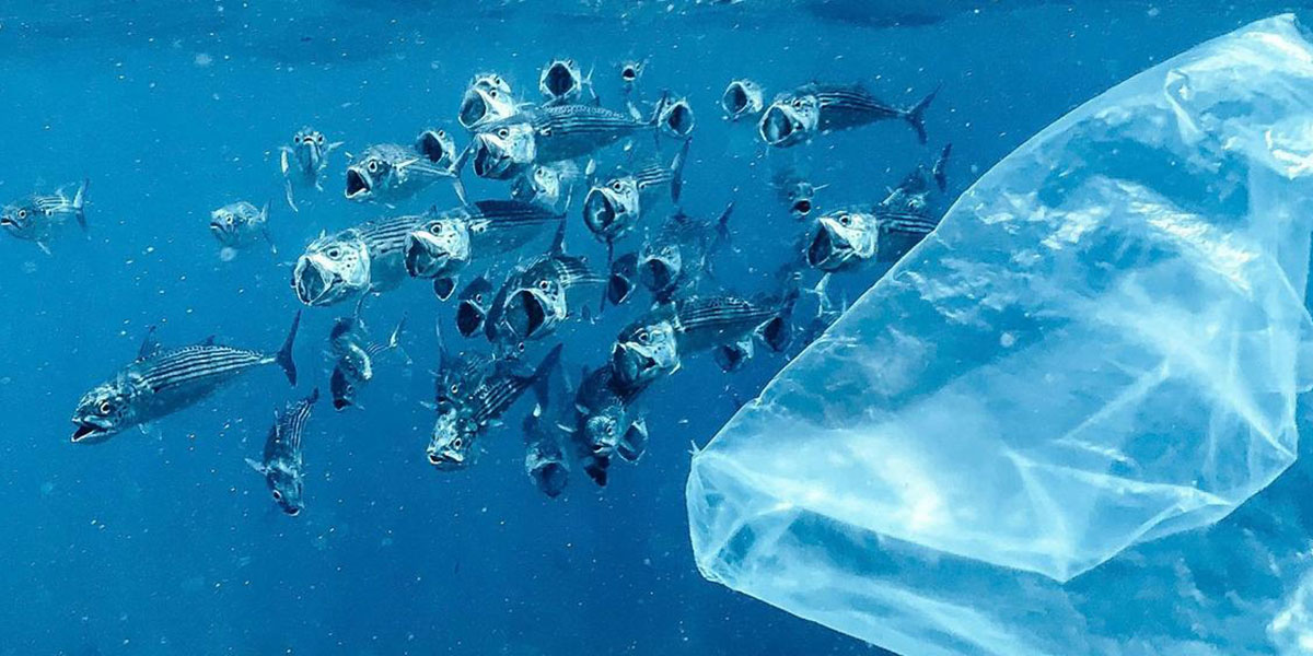 Sin acuerdos para un tratado sobre la contaminación plástica