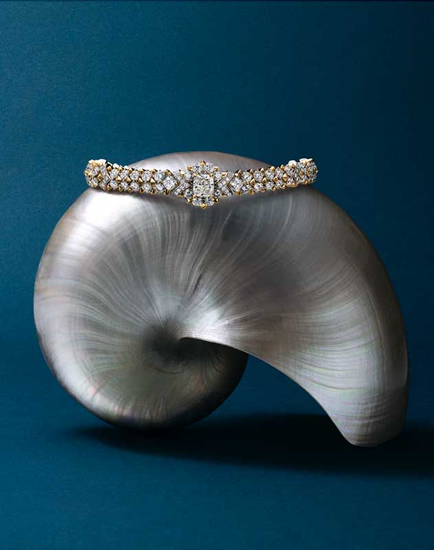 Amura,AmuraWorld,AmuraYachts, Tiffany & Co. tomó la belleza marina en su