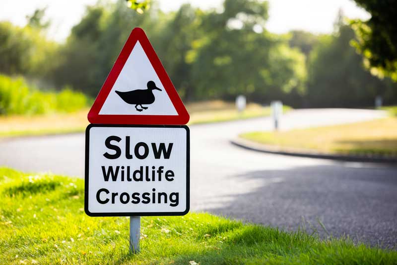 Amura,AmuraWorld,AmuraYachts, A los visitantes del Home of Rolls-Royce se les advierte que conduzcan con cuidado.