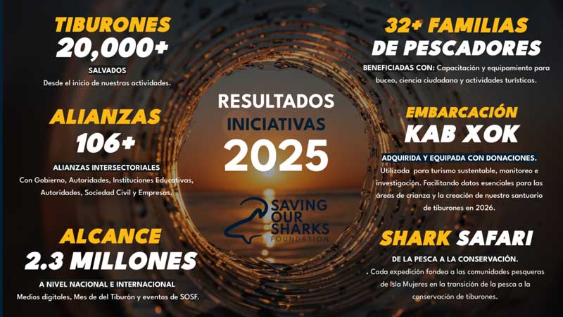 Amura,AmuraWorld,AmuraYachts, 