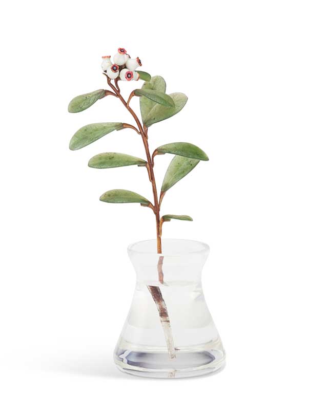 Amura,AmuraWorld,AmuraYachts, Estudio imperial de una gayuba sobre piedra dura, con joyas, esmalte y montura de oro. 1910-1911. 11.1 cm de alto.