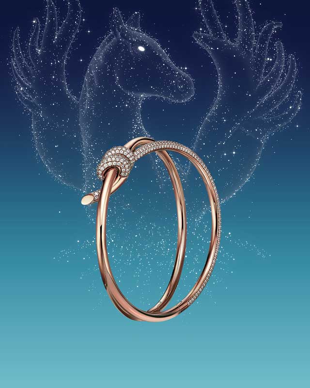 Amura,AmuraWorld,AmuraYachts, <strong><em><i>Tiffany Knot</i></em></strong> simboliza los lazos inquebrantables del amor.