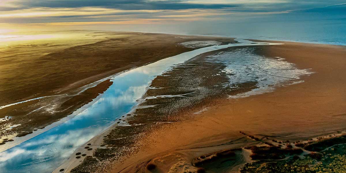 Ecosistemas acuáticos, en riesgo