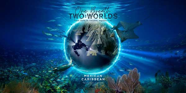 Presentan la Guía de Buceo del Caribe Mexicano