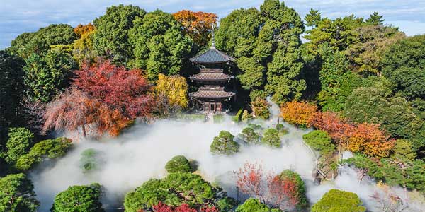 Gifts from Japan: lujo y tradición