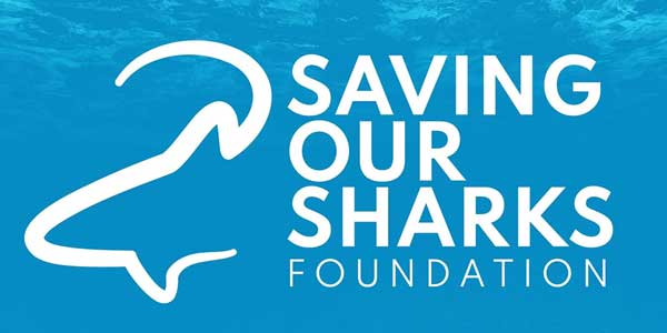 La evolución de Saving Our Sharks