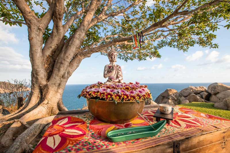 Amura,AmuraWorld,AmuraYachts, Por segundo año consecutivo se celebra el Thai Fest en México.