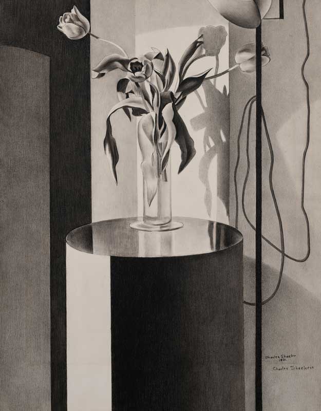 Amura,AmuraWorld,AmuraYachts, Charles Sheeler (1883-1965), <em><i>Tulipanes</i></em>, 1931. Lápiz Conté sobre papel montado sobre cartón. Realizado en 1931. 76,2×58,4 cm.
