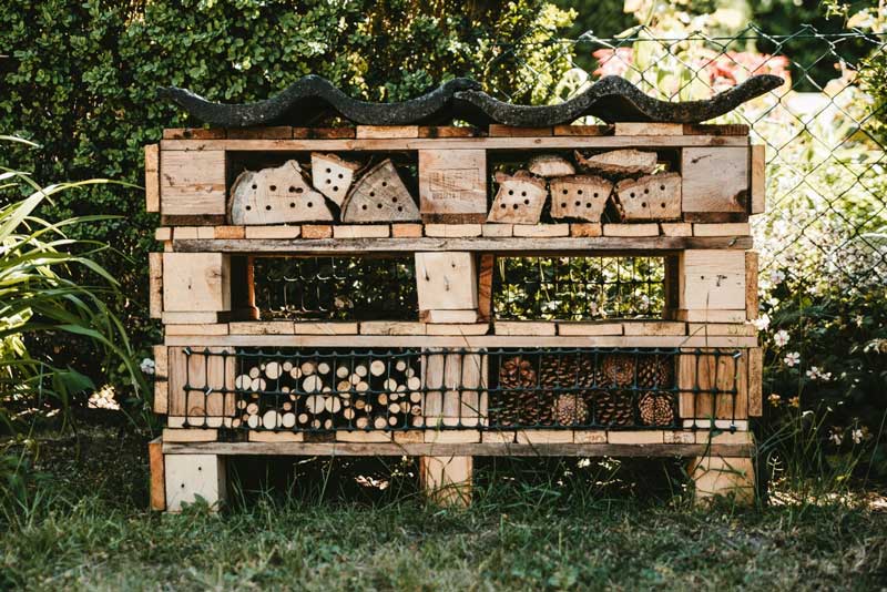 Amura,AmuraWorld,AmuraYachts, Los hoteles para insectos, fabricados con materiales naturales, ofrecen un lugar de descanso en entornos urbanos.  Unsplash/Mika Baumeister.