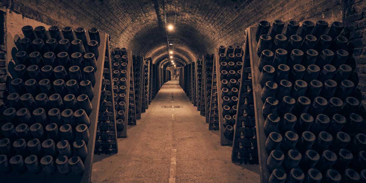 Una espumosa experiencia en Champagne