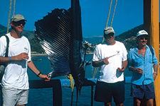 Tense lines for the sailfish - Fabiola Galván Campos