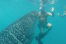 Swimming with Whale Sharks - Alberto Friscione Carrascosa
