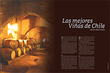 Las mejores Viñas de Chile - Dore Ferriz Híjar