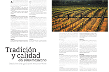Tradición y calidad del vino mexicano - Dore Ferriz Híjar