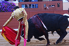 Bullfighting Traditions, a Grand Show  - AMURA