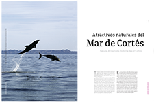 Natural attractions from the sea of Cortes - Mario Gómez C.