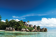 Seychelles - AMURA