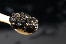Caviar Malossol - Miguel Montiel