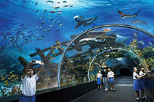 The world’s largest aquarium - Elvira Ocampo