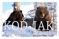 Kodiak The giant from Alaska - Alicia Gutiérrez