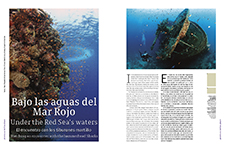 Under the Red Sea’s waters - Alejandro Elizondo