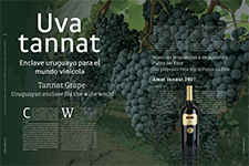 Tannat Grape - Juan Diego Wasilevsky