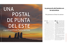 A postcard from Punta del Este - AMURA