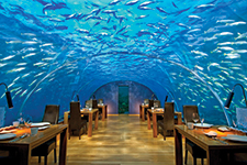 Ithaa Undersea Restaurant - Lizeth Dadug
