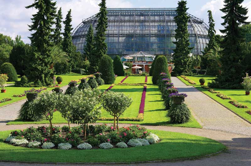 Berlin Botanical Garden. 

