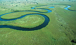 Delta del Okavango, Botswana - AMURA