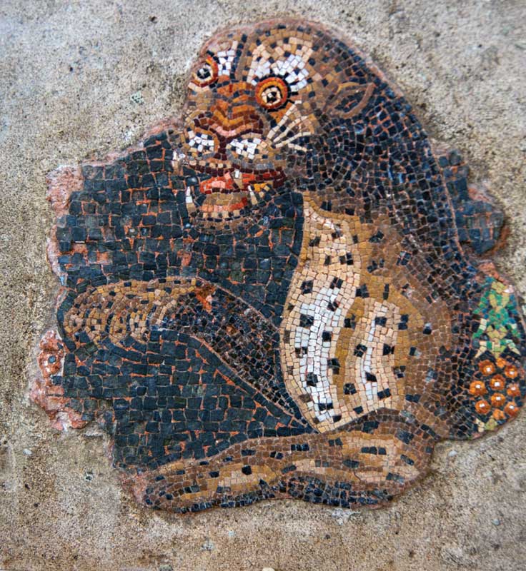 Mosaic of a leopard found at House of the Masks, currently exhibited in The Archaeological Museum of Delos.