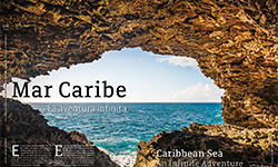 Mar Caribe - Mariana Mares