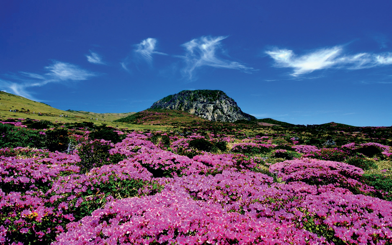 Amura,Corea del Sur,South Korea,Seúl,Busan,Isla Jeju,Villa de Bukchon Hanok, Jeju fue nombrada una de las siete Nuevas Maravillas de la Naturaleza en 2011.