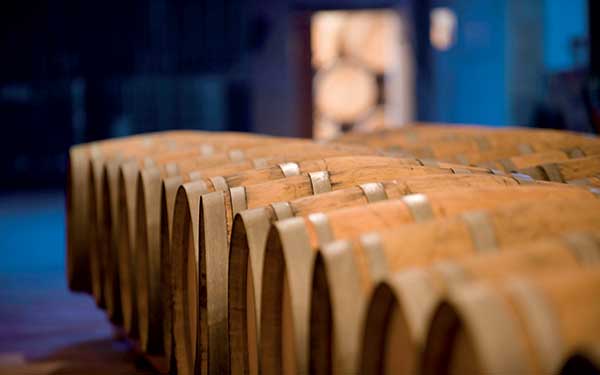 El arte de crear vino Francés - Amura