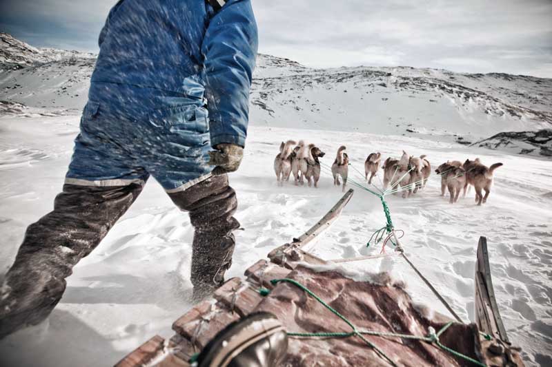 Amura,AmuraWorld,AmuraYachts,Groenlandia, Los perros esperan ansiosos para comenzar a correr.