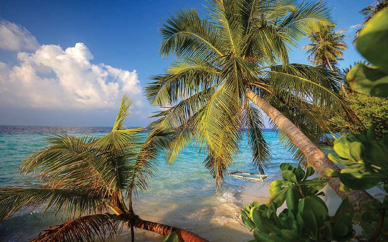 Amura,Maldivas,AmuraWorld,República de Maldivas, Coconut is still the main terrestrial ingredient of the place.