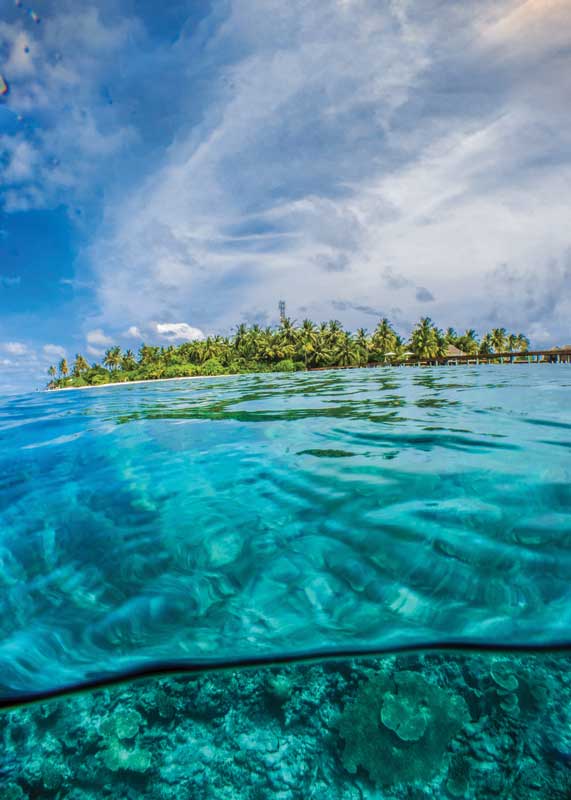 Amura, Amura Yachts, AmuraWorld,S.O.S  Maldivas,Maldivas, El medio marino y los manglares son los hábitats únicos de Maldivas. 