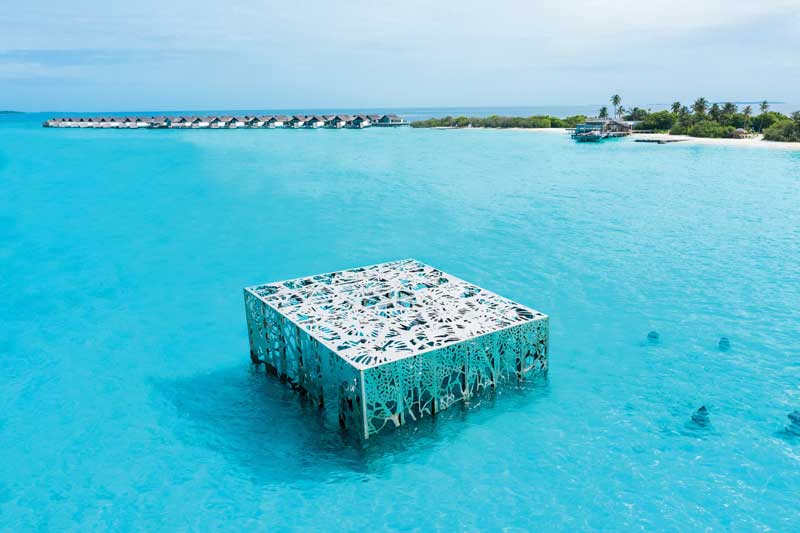 Amura, Amura Yachts, AmuraWorld,S.O.S  Maldivas,Maldivas, Coralarium: underwater sculpture park and sanctuary.