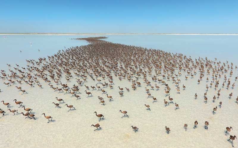 Amura,AmuraWorld,AmuraYachts,El lago Tuz el “espejo de cielo” de Turquía, En Turquía existen 9,576 ha de áreas protegidas.