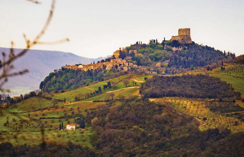 Amura,AmuraWorld,AmuraYachts,Toscana enoturismo e historia, Enoteca La Fortezza y sus viñedos.