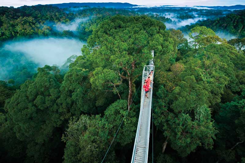 Amura,Amura World,Amura Yachts,Brunei, Ulu Temburong National Park.